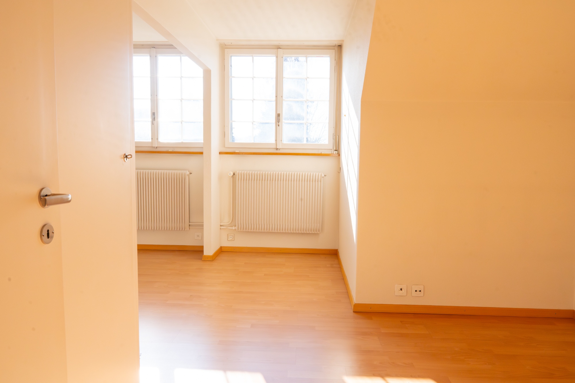 DG Zimmer